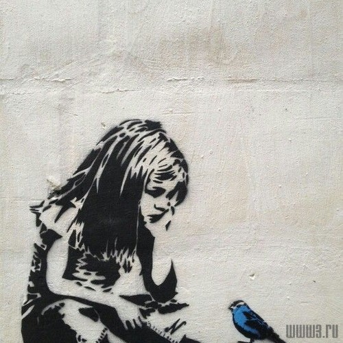 Граффити спасает птиц от смерти