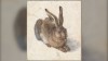 Рисунок Дюрера, купленный на дворовой распродаже за $30, оценили в $10 млн с лишним